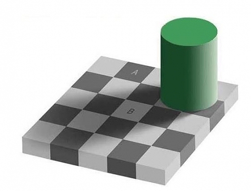 IMAGE/
