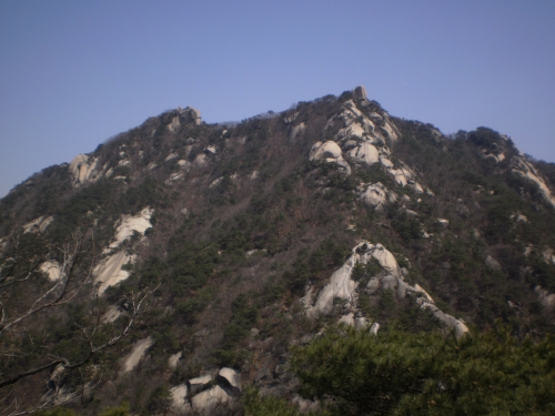 IMAGE/