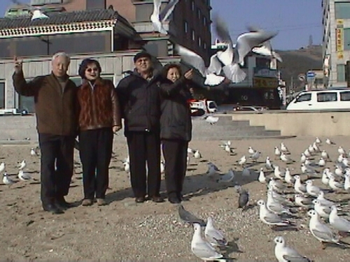 IMAGE/