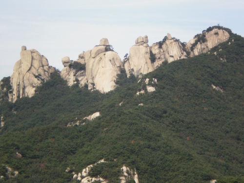 IMAGE/